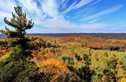 Fall Colours Walk | Mississippi Madawaska Land Trust