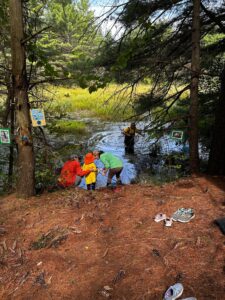 Pond Life Activity