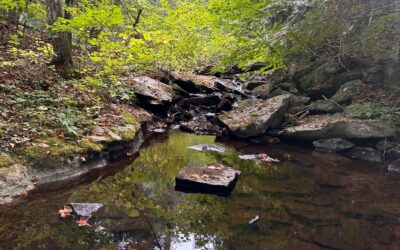 13th Ecologically Sensitive Property Now Protected by the Mississippi Madawaska Land Trust