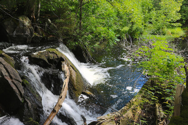 Clydelands – NOT OPEN to the Public | Mississippi Madawaska Land Trust